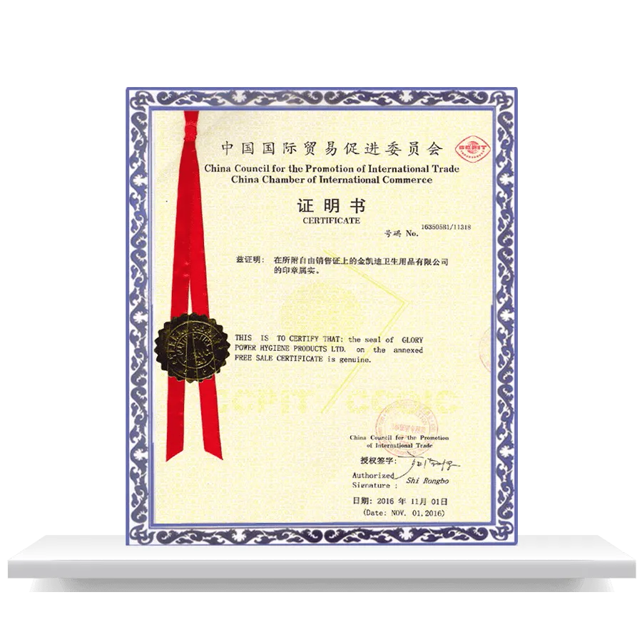 Certificate 01