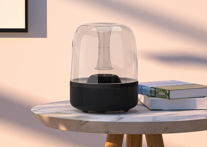 Main playback speaker
